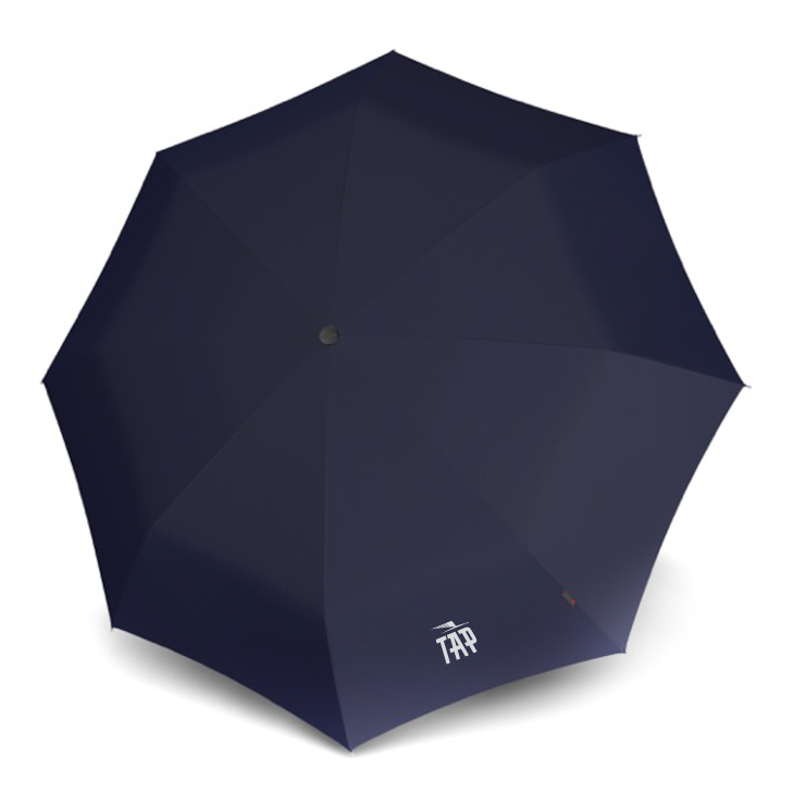 Blue Umbrella